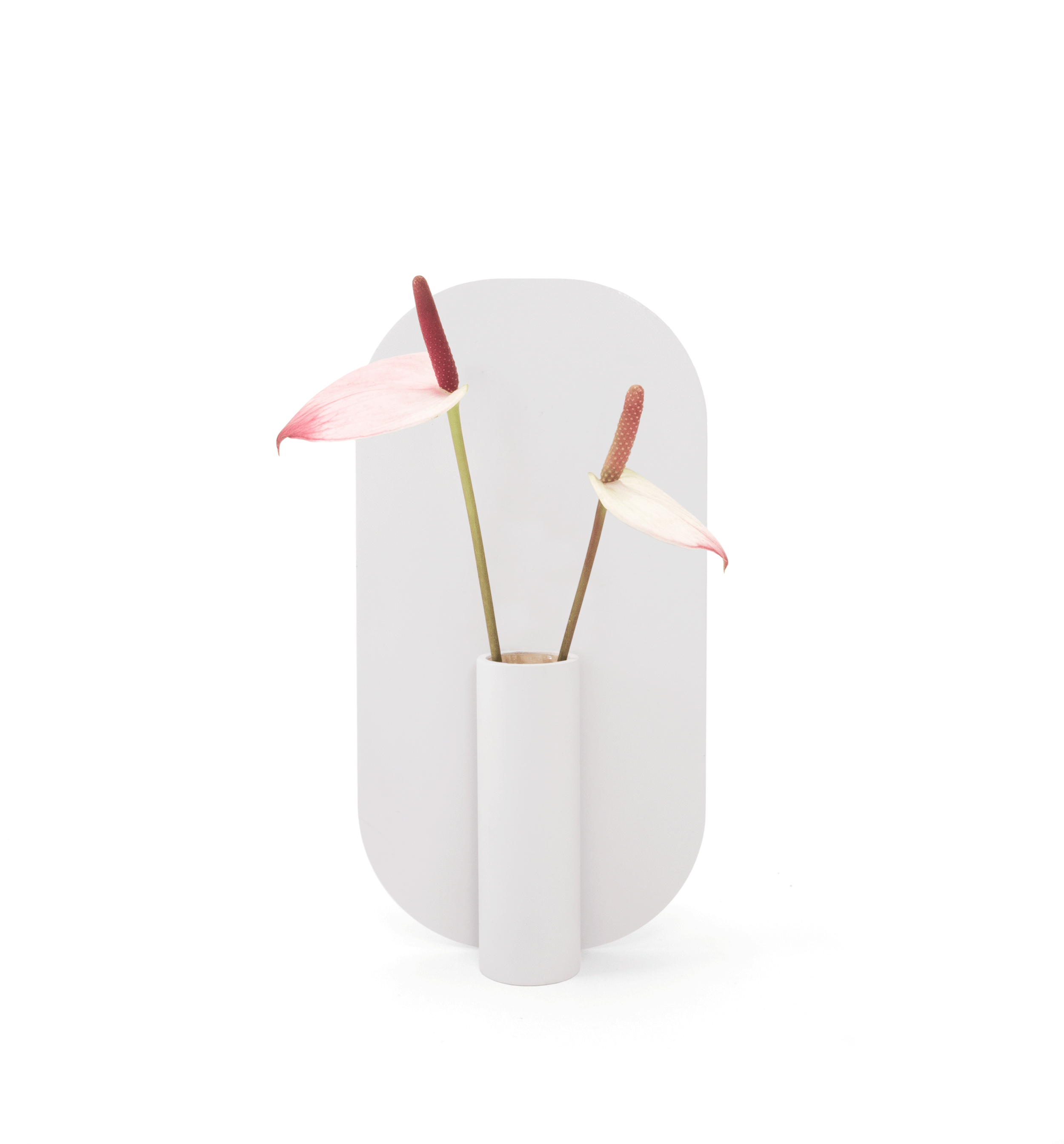 double sided vase and room fragrance diffuser