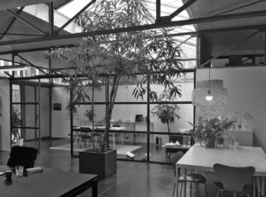 studio macura studio eindhoven